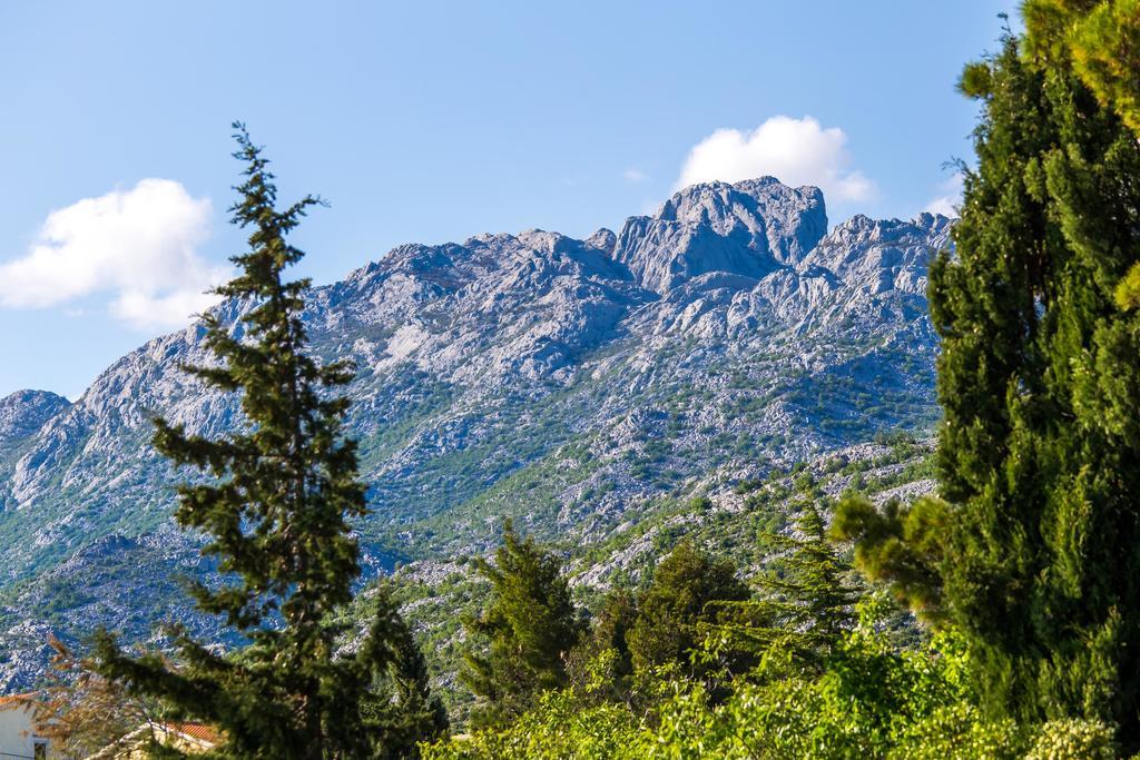 Villa Veca Starigrad Paklenica Extérieur photo